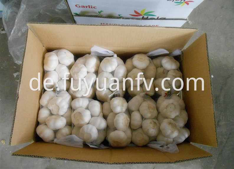 500g garlic in mesh bag